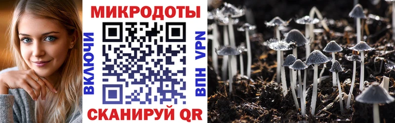 Галлюциногенные грибы ЛСД  гидра зеркало  Тихорецк 