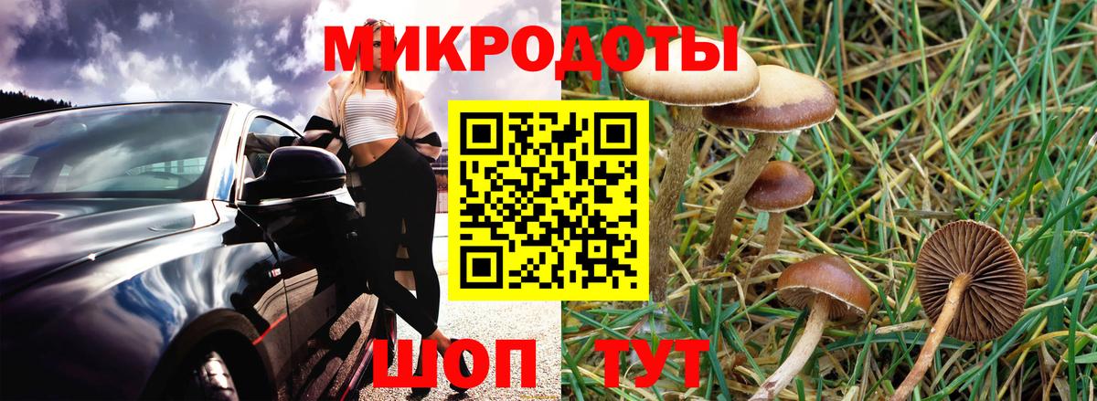 Псилоцибиновые грибы MAGIC MUSHROOMS Тихорецк